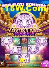 Experiência VIP Up7